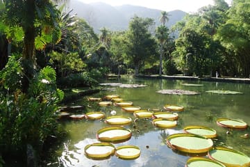 Botanical Garden and Tijuca Rainforest Jeep Tour