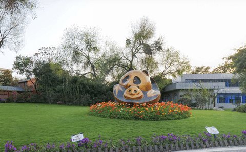 Chongqing to Chengdu High-Speed Rail Tour: One-Day Panda Base Excursion