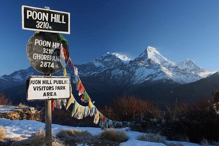 Annapurna Ghorepani Poonhill Trek: Scenic Adventure from Kathmandu