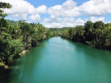 Private Full-Day Bohol Countryside Tour from Cebu City