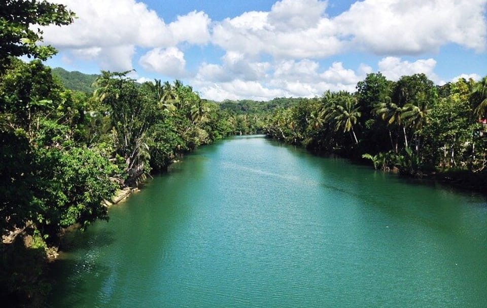 Private Full-Day Bohol Countryside Tour from Cebu City