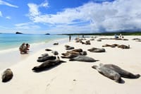  4-Day Galapagos Island Hopping Tour 7