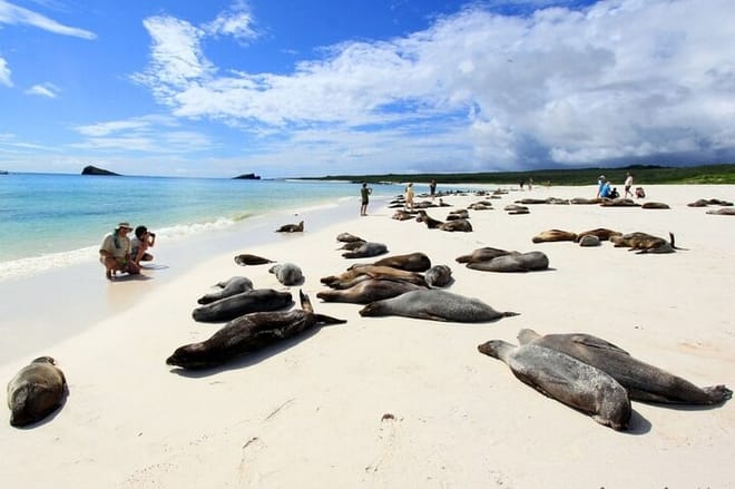  4-Day Galapagos Island Hopping Tour 7
