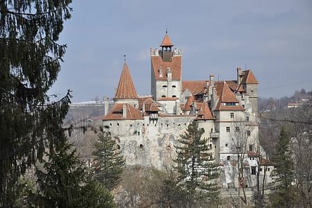 Discover Transylvania: Bran Castle & Râșnov Fortress Tour from Brașov with Optional Peles Castle Visit