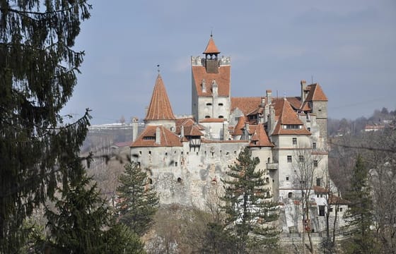 From Brasov: Discover Bran Castle and Rasnov Fortress