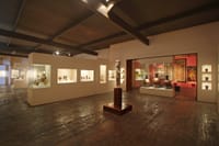 Tour Larco Museum with dinner 1