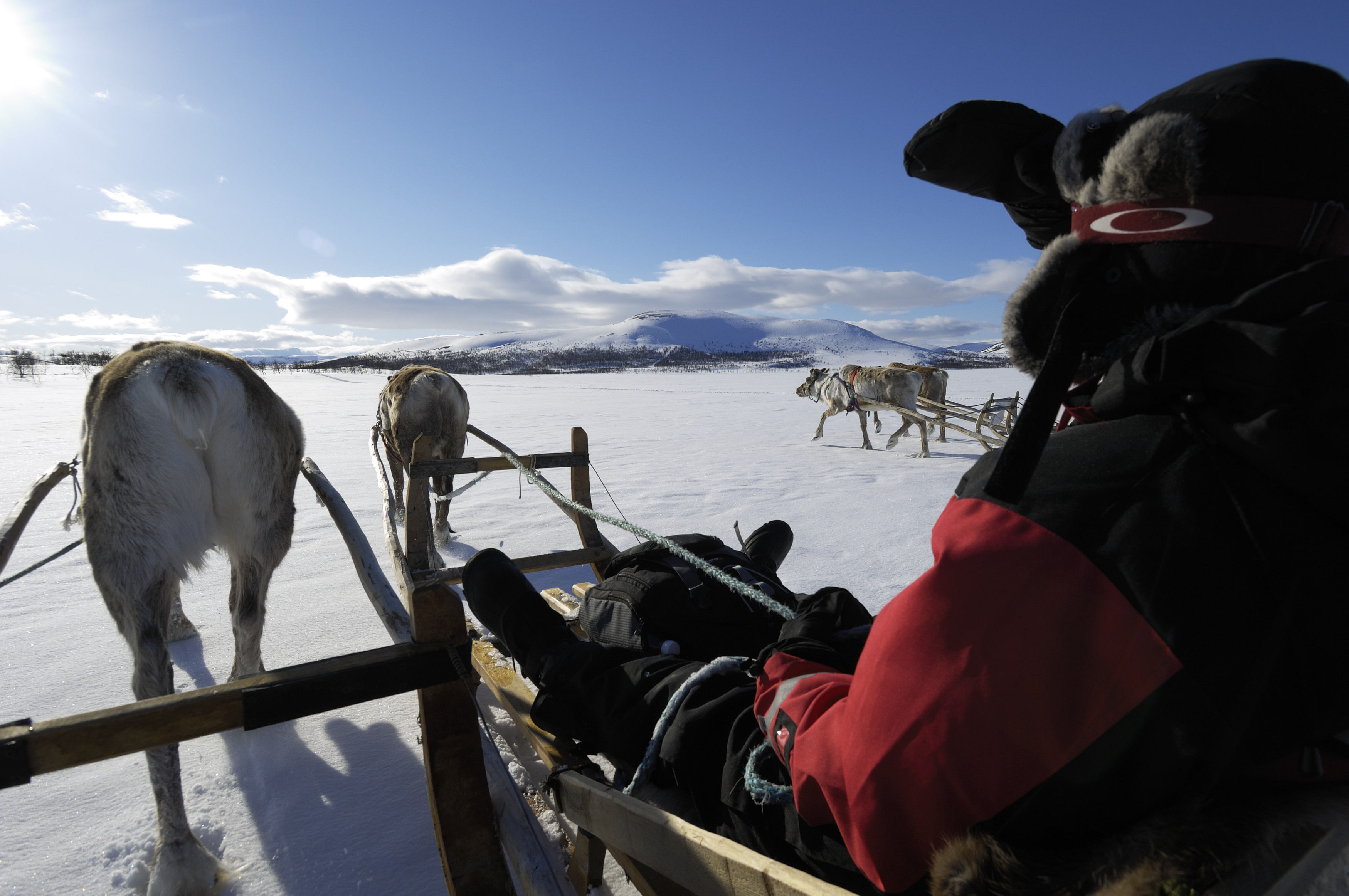 Reindeer Farm Visit And 1 Hour Safari With NortsaV Tours - Visit Rovaniemi