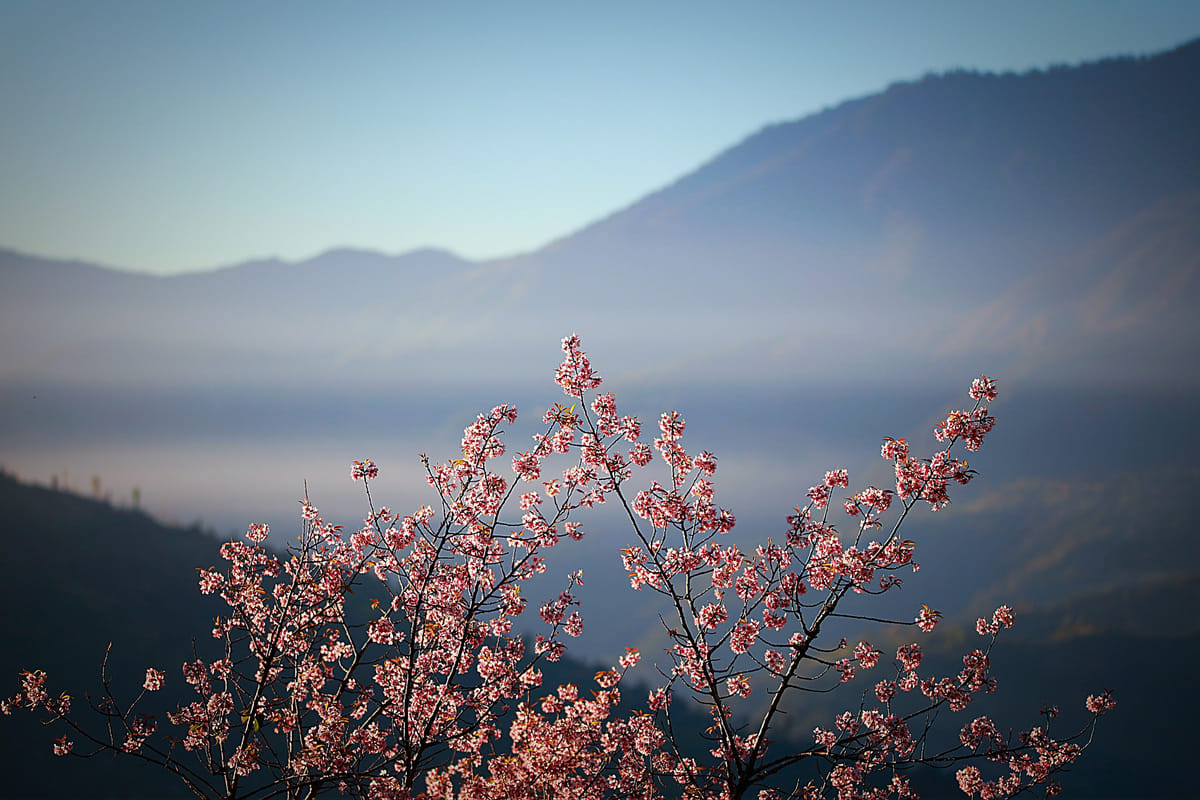 19 Days Mera Peak Climbing & Expedition – One Life-Changing Himalayan Adventure