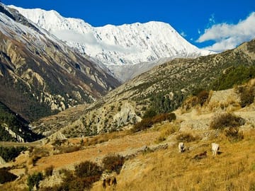19 Days Mera Peak Climbing & Expedition – One Life-Changing Himalayan Adventure