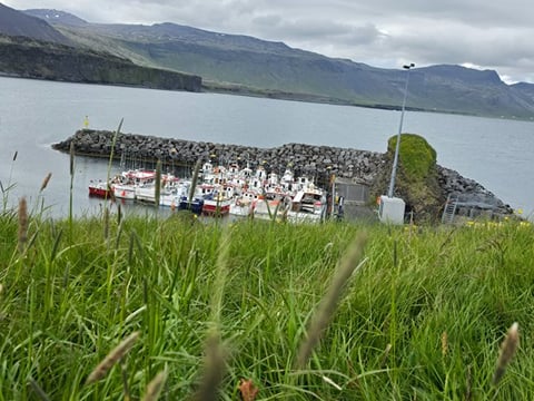 Snæfellsnes Peninsula Private Guided Tour, photo 10