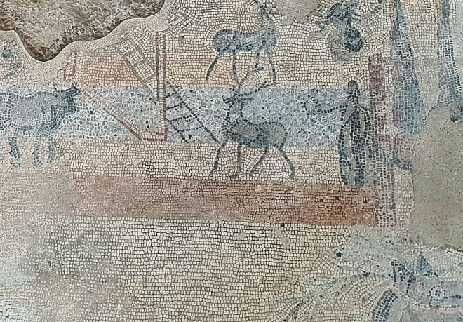 One day tour to know the Roman Empire from Madrid