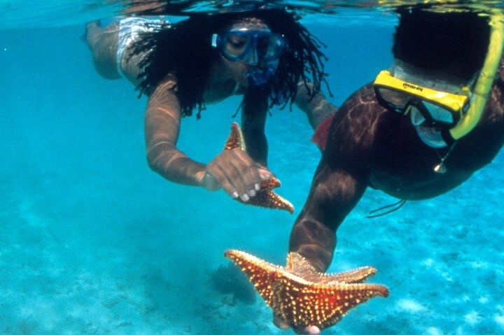 Snorkeling and Tubing in Montego Bay with Transportation