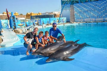 Dolphin Interaction Experience in Agadir, Morocco
