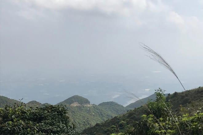 Private Day Tour to Mount Luofu from Gungzhou 5