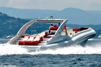 Luxury Opera 60 Whale & Dolphin Watching Experience  3