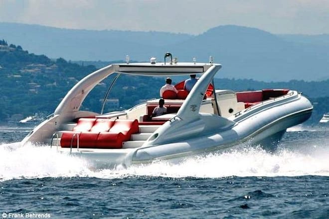 Luxury Opera 60 Whale & Dolphin Watching Experience  3
