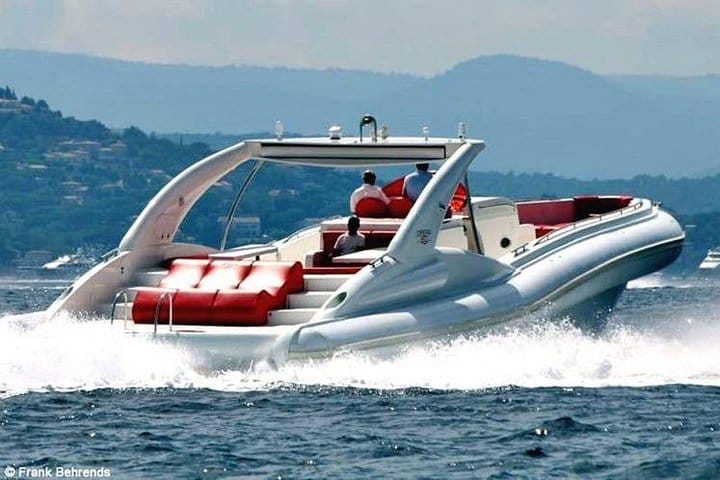 Luxury Opera 60 Whale & Dolphin Watching Experience  3