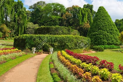 Make your honeymoon memorable with this romantic honeymoon package to Sri Lanka.