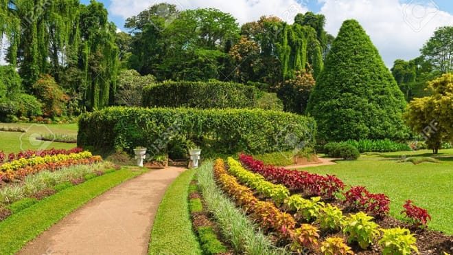 Make your honeymoon memorable with this romantic honeymoon package to Sri Lanka. photo 5