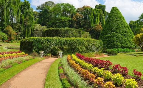 5-Day Romantic Adventure Tour of Sri Lanka for Honeymooners