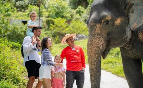 Guide Tour to Patong Hilltribe Ethical Elephant Village