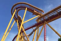 Private Day Tour to Chimelong Paradise and Birds Park from Guangzhou 1