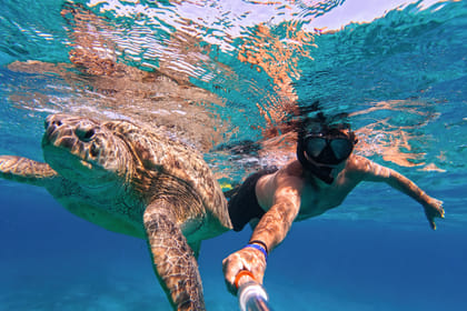 Swim with Turtles in Máncora: An Interactive Adventure