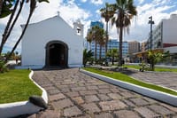 Puerto de la Cruz City Tour with Transfers 6