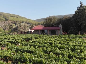 Etrim Village Experience: Local Culture & Organic Tasting