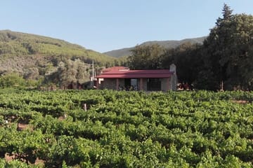 Culinary Tour and Wine Tasting in Etrim Village, Bodrum
