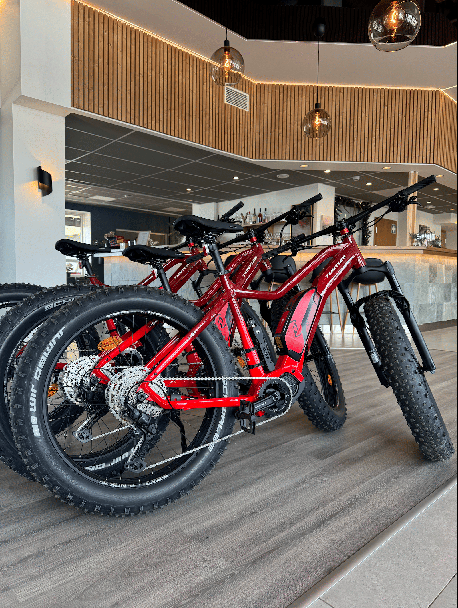 Electric Fatbike rental in Rovaniemi