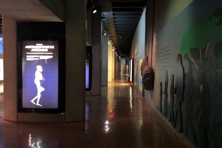 Interactive displays at Maropeng Visitor Center on human evolution