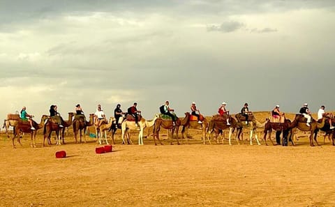 Majestic Agafay Exclusive Desert Experience