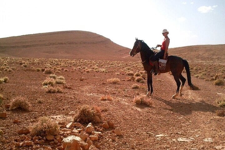 Discover Forests & Rivers with 2 Hours Horseback Riding – Agadir
