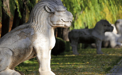 Juyongguan Great Wall and In-depth Tour of Ming Tombs