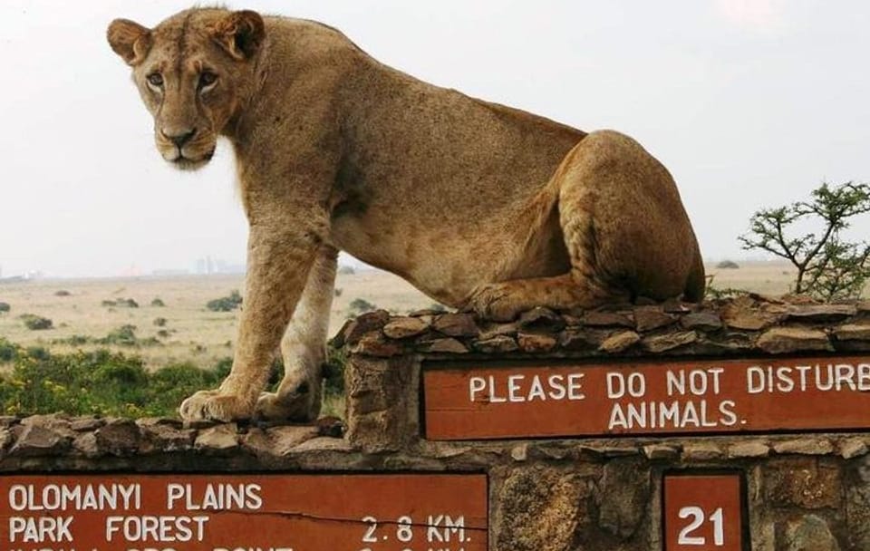 Nairobi National Park and Giraffe Center Day Tour