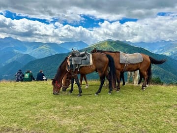 Gele, Village Bochorna - Tusheti Travel