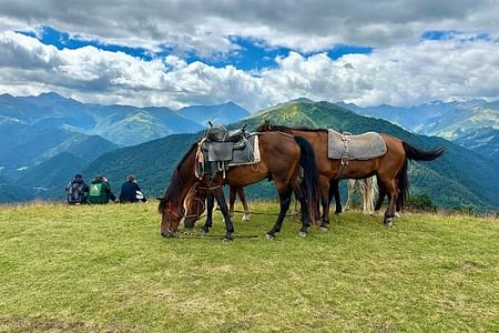 Your Tusheti Experience Awaits - Local Guides, Unforgettable Tour