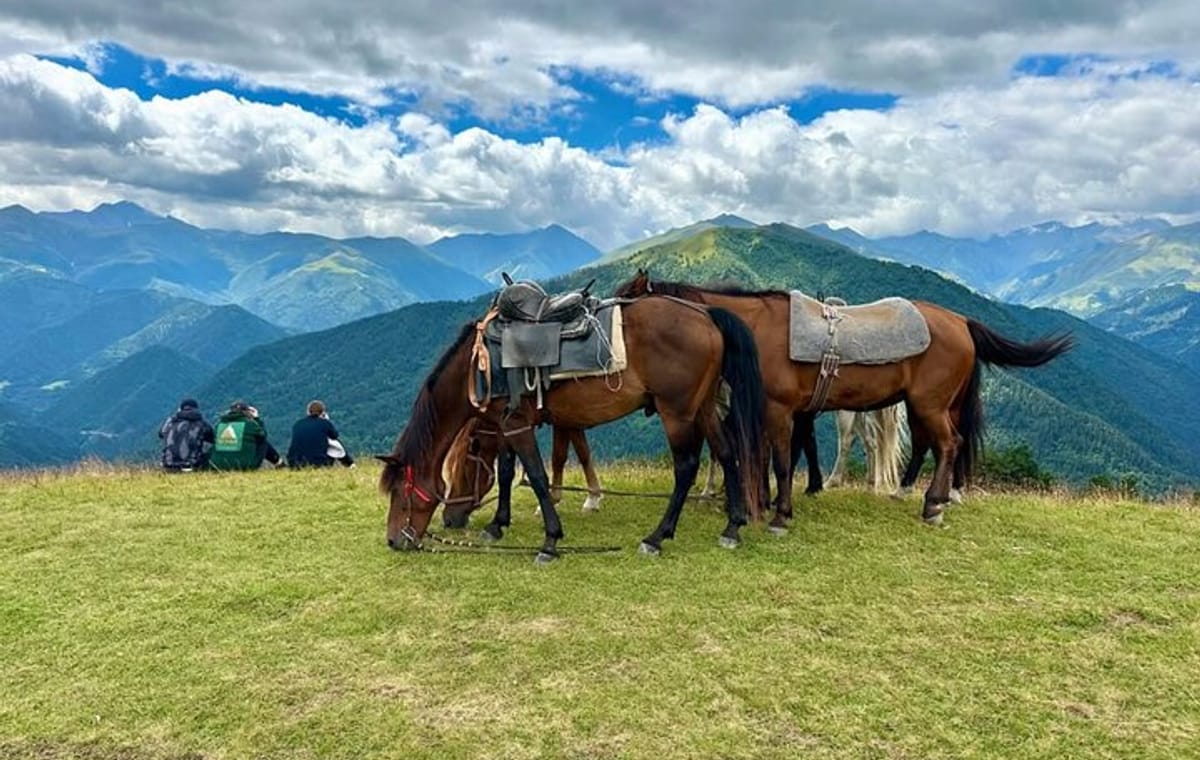 Your Tusheti Experience Awaits – Local Guides, Unforgettable Tour