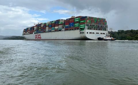 Explore Lake Gatun by Boat: A 3.5-Hour Tour in Panama
