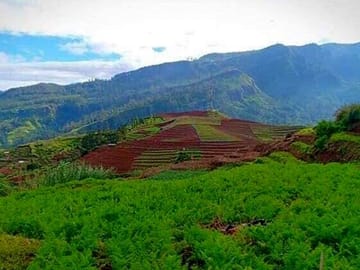 Camping Adventure in Mandaramnuwara from Kandy