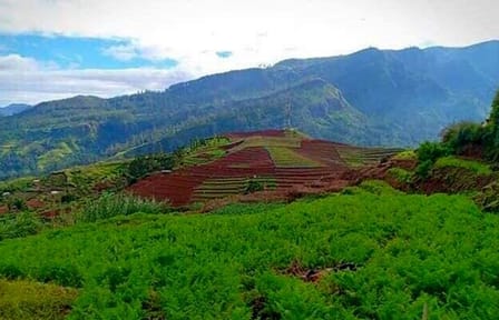 Camping Adventure in Mandaramnuwara from Kandy