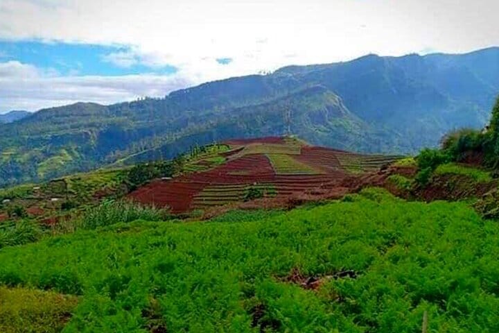 Kodiyaragala mandaram Nuwara Camping Night Tour From Kandy 2