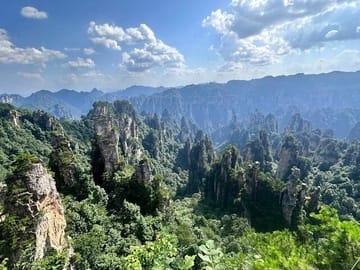 1 Day Avatar Mountain & Fores Park Group Tour with VIP Access