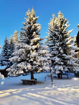 Private Snowshoeing Vitosha for 1 day