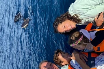 Private 4-Hour Speedboat and Snorkeling Tour in Hurghada