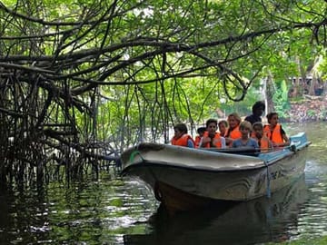 Madu River Safari and Turtle Hatchery Tour from Bentota