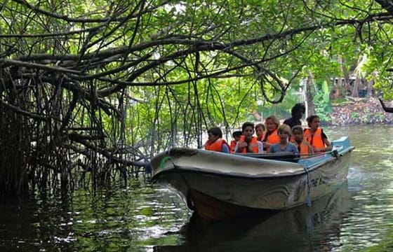 Madu River Boat Safari And Kosgoda Turtle Hatchery From Bentota