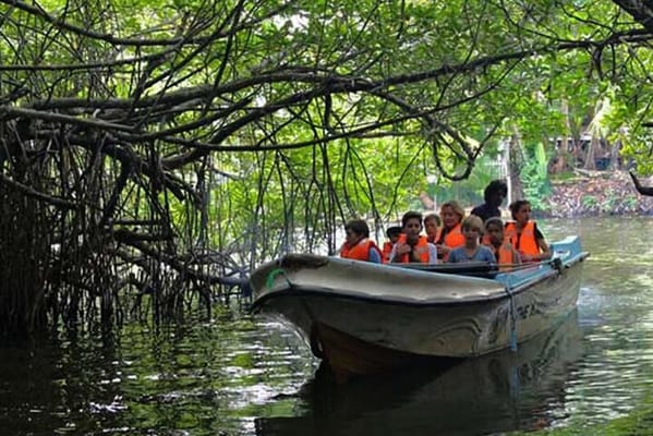Madu River Boat Safari And Kosgoda Turtle Hatchery From Bentota