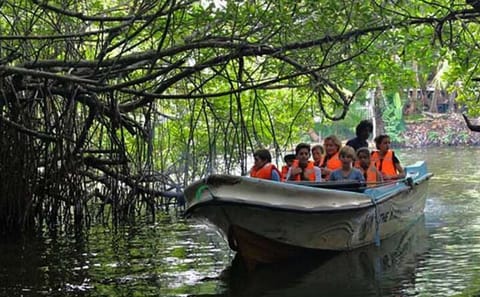 Madu River Safari and Turtle Hatchery Tour from Bentota